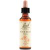SCHWABE PHARMA ITALIA SRL Rock Rose Bach Orig 20 Ml