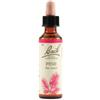 SCHWABE PHARMA ITALIA SRL Pine Bach Orig 20 Ml