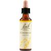 SCHWABE PHARMA ITALIA SRL Hornbeam Bach Orig 20 Ml