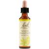 SCHWABE PHARMA ITALIA SRL White Chest Bach Orig 20 Ml