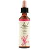 SCHWABE PHARMA ITALIA SRL Oak Bach Orig 20 Ml