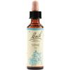 SCHWABE PHARMA ITALIA SRL Vine Bach Orig 20 Ml