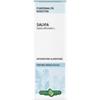 Salvia Foglie Tintura Idroalcolica 50 Ml Ebv