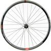 Gurpil Ruota Posteriore Da Mtb Infinite M4050 29´´ Cl Disc