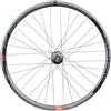 Gurpil Ruota Posteriore Da Mtb Infinite 29´´ Shimano 6b Disc