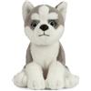 Living Nature Cucciolo di Husky, Peluche di Cane Morbido e Realistico, Peluche Naturli Eco-Friendly, 16cm
