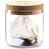 Amoroses Bijou - Rosa Stabilizzata Eterna con Calice Placcato Oro 24K in Barattolo di Vetro | Idea Regalo (Rosa Bianca)