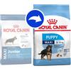 Royal Canin Crocchette per cani Royal canin maxi puppy 15 Kg