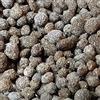 Biohome Biogravel è Un Nuovo Mezzo filtrante per filtri acquari; Materiale filtrante Adatto Anche per spazi ristretti - Biogravel.1 kg