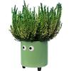 Fisura - Originale vaso da fiori con design a occhio. Vasi da giardino moderno decorativo. Vaso a gambe per cactus. Vaso in ceramica per fiori e piante grasse. 13 x 12,5 cm. (Verde)