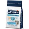 Advance Cat Kitten 1.5KG