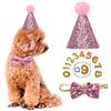 YODOOLTLY Cappello di compleanno per cani, set di cappello di compleanno e collare con papillon con numero, riutilizzabile, per cuccioli di gatto, costumi e accessori decorativi per feste (rosa)