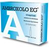 Eg Spa Ambroxolo Eg Aer utile 15mg nelle affezioni broncopolmonari acute e croniche 10 fiale