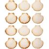Finoly Conchiglia di Capesante Naturale 10x11 cm | Conchiglie Decorative | Confezione da 4/8/12/16 Pezzi | Capesante Conchiglie di Mare per Cucina Decorazione Mestieri Artigianato DIY (12)