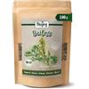 Biojoy Artemisia BIO (100 g), secca e tagliata, adatto per Tisana (Artemisia vulgaris)