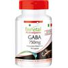 fairvital GABA 750 mg, 90 capsule, per 45 GIORNI, 1500 mg per dose giornaliera, VEGANO, acido gamma-aminobutirrico