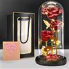 BoriYa Regali San Valentin per Lei - Rosa Eterna - Rose Eterne con LED Luce, Rosa Bella e la Bestia in Vetro,Rose Stabilizzate per Idee Regali Donna, Regalo Compleanno per Lei,Festa Della Mamma Regalo