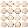 Finoly Conchiglia di Capesante Naturale 10x11 cm | Conchiglie Decorative | Confezione da 4/8/12/16 Pezzi | Capesante Conchiglie di Mare per Cucina Decorazione Mestieri Artigianato DIY (16)