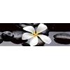 Estilker Zen 1 Decorato in Ceramica con Stampa Digitale