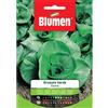 Blumen cicoria grumolo verde