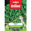 Blumen rucola coltivata