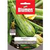Blumen zucchino greyzini f1