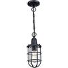 Westinghouse Lighting 6334840 Lampada a sospensione da esterno Crestview a una luce, finitura nera ruvida con vetro a bolle trasparente