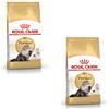 ROYAL CANIN Persian Adult | Confezione Doppia | 2 x 400 g | Cibo Secco per Gatti | Adatto alle Esigenze dei Gatti persiani | Favorisce la digestione, la Pelle e Il Mantello