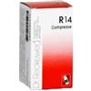 DR.RECKEWEG & CO. GmbH RECKEWEG R14 100 Compresse 0,1g