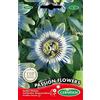 Germisem Passion Flowers Semi 0.5 g