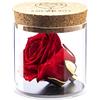 Amoroses Bijou - Rosa Stabilizzata Eterna con Calice Placcato Oro 24K in Barattolo di Vetro | Idea Regalo (Rosa Rossa)