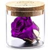 Amoroses Bijou - Rosa Stabilizzata Eterna con calice placcato oro 24K in barattolo di vetro | Idea Regalo (Rosa Viola)