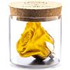 Amoroses Bijou - Rosa Stabilizzata Eterna con Calice Placcato Oro 24K in Barattolo di Vetro | Idea Regalo (Rosa Gialla)