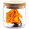 Amoroses Bijou - Rosa Stabilizzata Eterna con Calice Placcato Oro 24K in Barattolo di Vetro | Idea Regalo (Rosa Arancione)