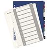 Leitz Rubrica con Tasti 1-10, Stampabile Al Pc, Formato A4, Polipropilene Robusto, Formato Extra Largo, Bianco/Multicolore, Gamma Style, 12370000