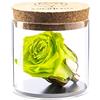 Amoroses Bijou - Rosa Stabilizzata Eterna con calice placcato oro 24K in barattolo di vetro | Idea Regalo (Rosa Verde Mela)