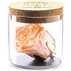 Amoroses Bijou - Rosa Stabilizzata Eterna con calice placcato oro 24K in barattolo di vetro | Idea Regalo (Rosa Pesca)