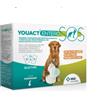 MSD YOUACT ENTERO SOS 14 BUSTE CANE E GATTO