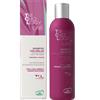 ALTA NATURA-INALME Srl Trichology Lab Shampoo Colorlux Alta Natura 250ml