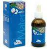 ALTA NATURA-INALME Srl Mater Ippocastano TM Alta Natura 50ml