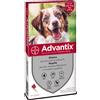 Advantix Cani 4 pipette - 25-40kg