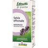 BOIRON SRL BO.SALVIA OFF.EI 60ml