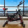 Jestes Spinning Bike Cyclette Bici Fitness - con Computer Fitness Tracker