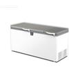Congelatore a pozzetto. Capacità 860 lt. cm 205,5x87,5x98,3h Temp. -18°C -25°C