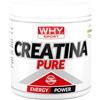 WHY SPORT CREATINA PURE - Creatina Monoidrato - Pre Workout - Integratore Alimentare a Base di Creatina Monoidrato Creapure - 300 g