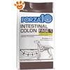 Forza10 Dog Active Intestinal Colon Fase 1 Agnello e Sorgo Bianco - Sacco da 10 kg