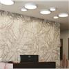 Intec Plafoniera LED KLIO Ø 21 cm bianco IP20 bianco naturale INTEC