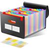 Diboniur Cartella Portadocumenti A4, Porta Documenti Espandibile 25 Tasche, Raccoglitore Documenti Fisarmonica Organizzatore per Faldoni Ufficio/Scuola/Casa (Nero)