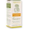 ERBAMEA Srl Garofano Biologico O.E. Erbamea 10ml