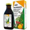 SALUS HAUS Gmbh & Co KG Salufrangol 250 ml
